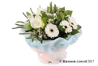 ����� ��������