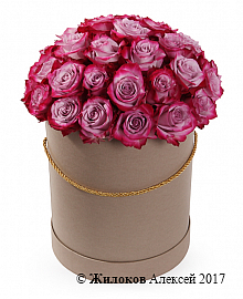 Букет 35 роз Дип Перпл в шляпной коробке