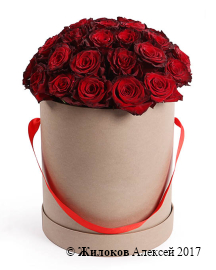 ����� ��������� ������� (��� �����) � ������� �������