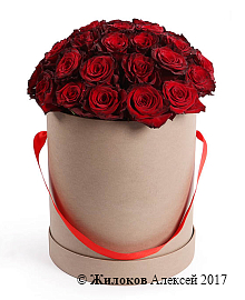 ����� ��������� ������� (��� �����) � ������� �������