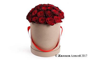 ����� ��������� ������� (��� �����) � ������� �������