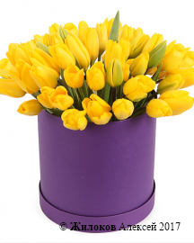 Букет 51 тюльпан в шляпной коробке, желтые