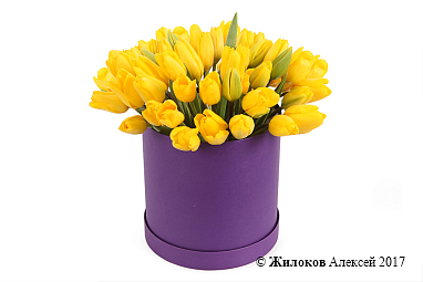 ����� 51 ������� � ������� �������, ������