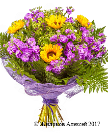 ����� ������� ������