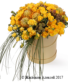 ����� ������� ������ � ������� �������