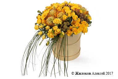 ����� ������� ������ � ������� �������