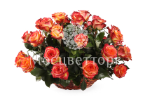 ����� 35 ��� ��� ������ � �������