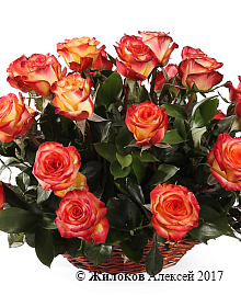 ����� 35 ��� ��� ������ � �������