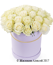 ����� 35 ��� �������� � ������� �������