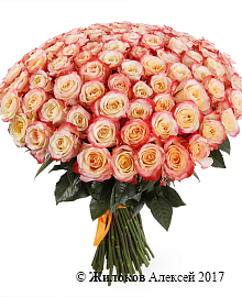 ����� 101 ���� ������