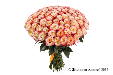 ����� 101 ���� ������