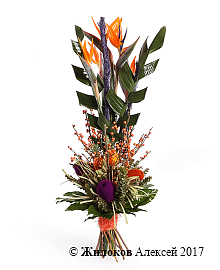 ����� �������