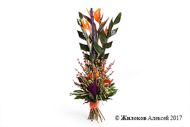 ����� �������