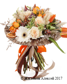 ����� ������ ��������