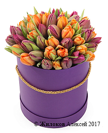 ����� 51 ����������� ������� � ������� �������, ��������-��������� ����