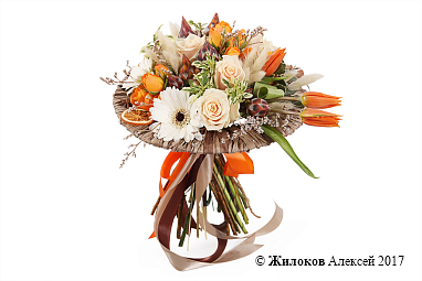 ����� ������ ��������