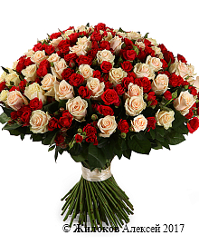 ����� ���������, 101 ���� ����