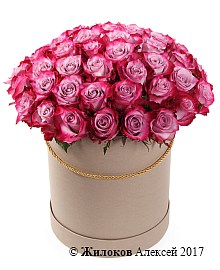 ����� 51 ���� ��� ����� � ������� �������