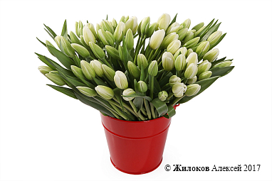 ���������� ������