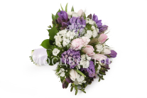 ����� ������� ������