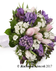 ����� ������� ������