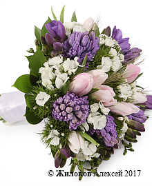 ����� ������� ������