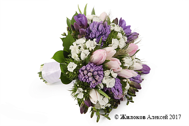 ����� ������� ������