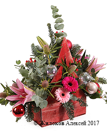 ���������� � ������� ����������� ������� � �����