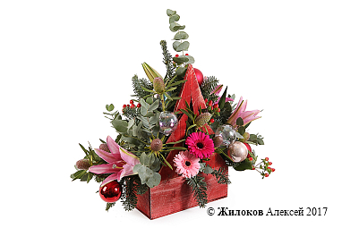 ���������� � ������� ����������� ������� � �����