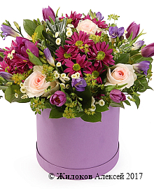 ����� ��������� ����� � ������� �������