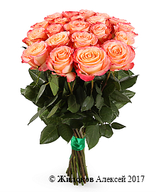 ����� 21 ���� ���� �������