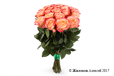 ����� 21 ���� ���� �������