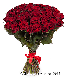 ����� �� 51 ������� ���� 60/70 ��