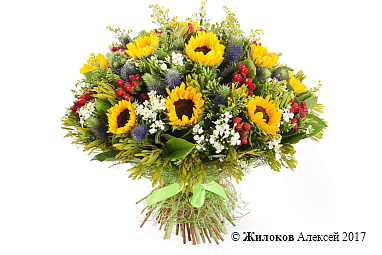 ����� � ������������ ������ ������