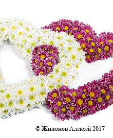 ����� ����������� ������