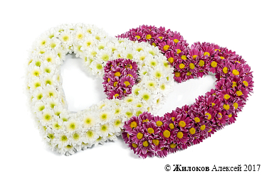 ����� ����������� ������