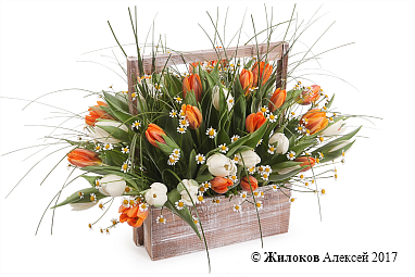 ���������� ������� ������ � �����