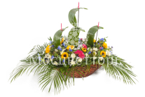 ���������� �������