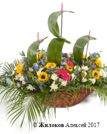 ���������� �������