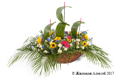 ���������� �������