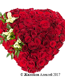 ����� ������� ������