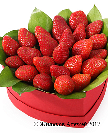 ���������� �������� ���� � ������� ������� ������