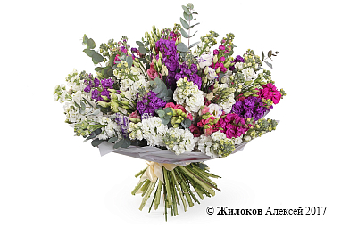 ����� ������� ����������