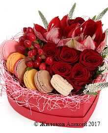 ����� ���� ������ � ������� ������� ������