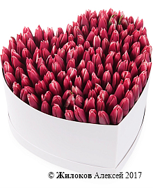 ���������� �������� ����������� � ������� ������� ������ (�����), ����