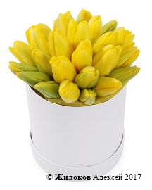 ����� 25 ����������� ��������� � ����� ������� �������, ������