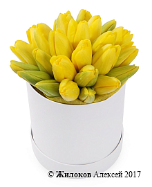 ����� 25 ����������� ��������� � ����� ������� �������, ������