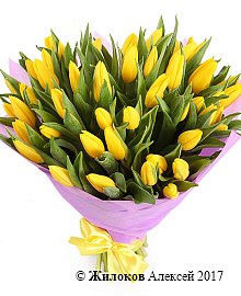 ����� 51 �������, ������