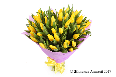 ����� 51 �������, ������