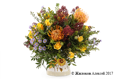 ����� ������ ���